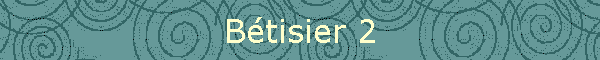 Btisier 2